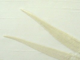 ASTER 雅式多 家飾布 第03頁 A4674