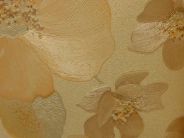 MIRACLE 雅特麗 壁紙  68953