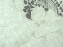 ASTER 雅式多 家飾布 第10頁 A5768