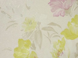 MIRACLE 雅特麗 壁紙  77620