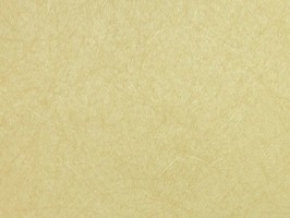 MIRACLE 雅特麗 壁紙  77633