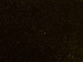 ASTER 雅式多 家飾布 第22頁 A15243