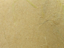 XSELECT 壁紙  SG-197