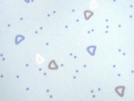 帛琉篇 窗簾  B387