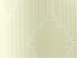 XSELECT 壁紙  SG-481