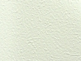 XSELECT 壁紙  SG-591