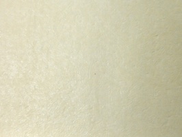 XSELECT 壁紙  SG-834