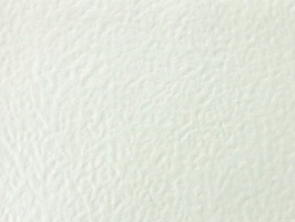 XSELECT 壁紙  SG-1081