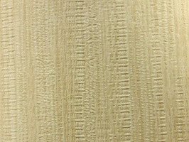XSELECT 壁紙  SG-1165