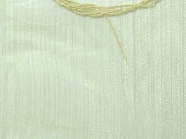 西雅圖  C5501