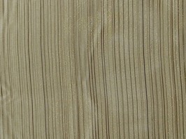 西雅圖  C5504