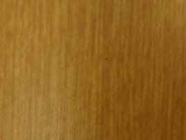 XSELECT 壁紙  SG-1181
