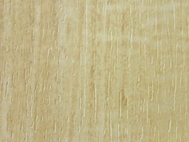 XSELECT 壁紙  SG-1228