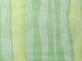 西雅圖 第14頁 S6301