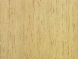 XSELECT 壁紙  SG-1310