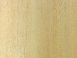 XSELECT 壁紙  SG-1314