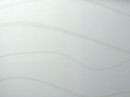 EYE  S11001