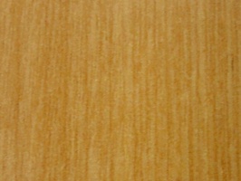 XSELECT 壁紙  SG-1351