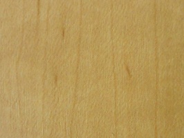 XSELECT 壁紙  SG-1355