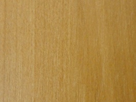 XSELECT 壁紙  SG-1359