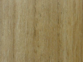 XSELECT 壁紙  SG-1384