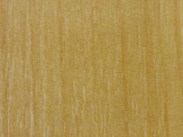 XSELECT 壁紙  SG-1605