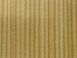 XSELECT 壁紙  SG-1741