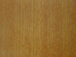 XSELECT 壁紙  SG-1840