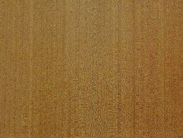 XSELECT 壁紙  SG-1841