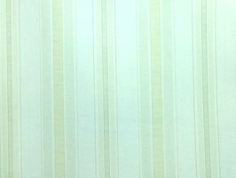 Summer House 夏之屋 壁紙  HS 81407