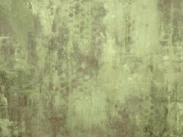 Affresco 壁紙 FR 60109