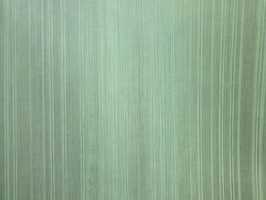 ALABASTER 壁紙  AS 71101