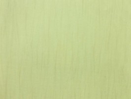 Aloha 壁紙 ALH 5565 12 03