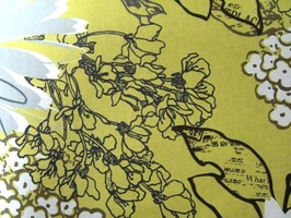 PT Multi Media 窗簾 MONTAGE-6494 JONQUIL-569