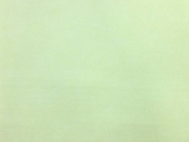 Banbino 班比若  壁紙  123319