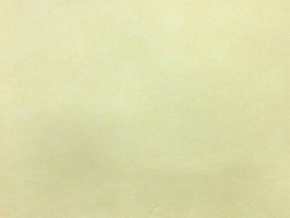 Banbino 班比若  壁紙  123388