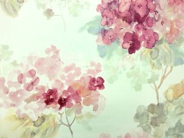 Watercolor 壁紙  AQ 50501