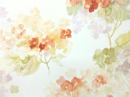 Watercolor 壁紙  AQ 50505