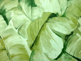 Watercolor 壁紙  AQ 50704