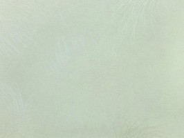 Soffione 壁紙 295 206