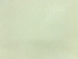 Soffione 壁紙 295 220