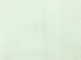Soffione 壁紙 295 237
