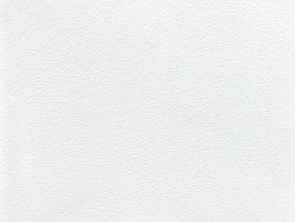 Soffione 壁紙  295 480