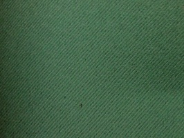 Gooden Angarsan 防火家飾布 窗簾  138028  防火188057