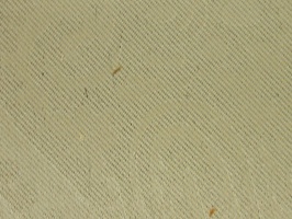 Gooden Angarsan 防火家飾布 窗簾  168002  防火228071