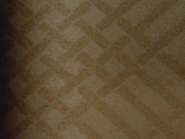 Gooden Angarsan 防火家飾布 窗簾  168011  防火228070