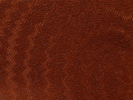 Gooden Angarsan 防火家飾布 窗簾  168081  防火228006