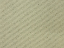 Gooden Angarsan 防火家飾布 窗簾  199318  防火258318