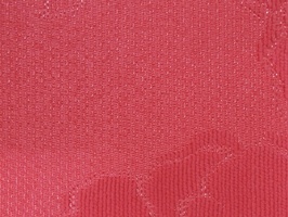 Gooden Angarsan 防火家飾布 窗簾  288051  防火336001