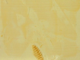 Gooden Angarsan 防火家飾布 窗簾  288066  防火338012